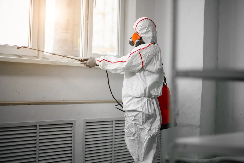 Professional mold remediation services in Dundee, IL